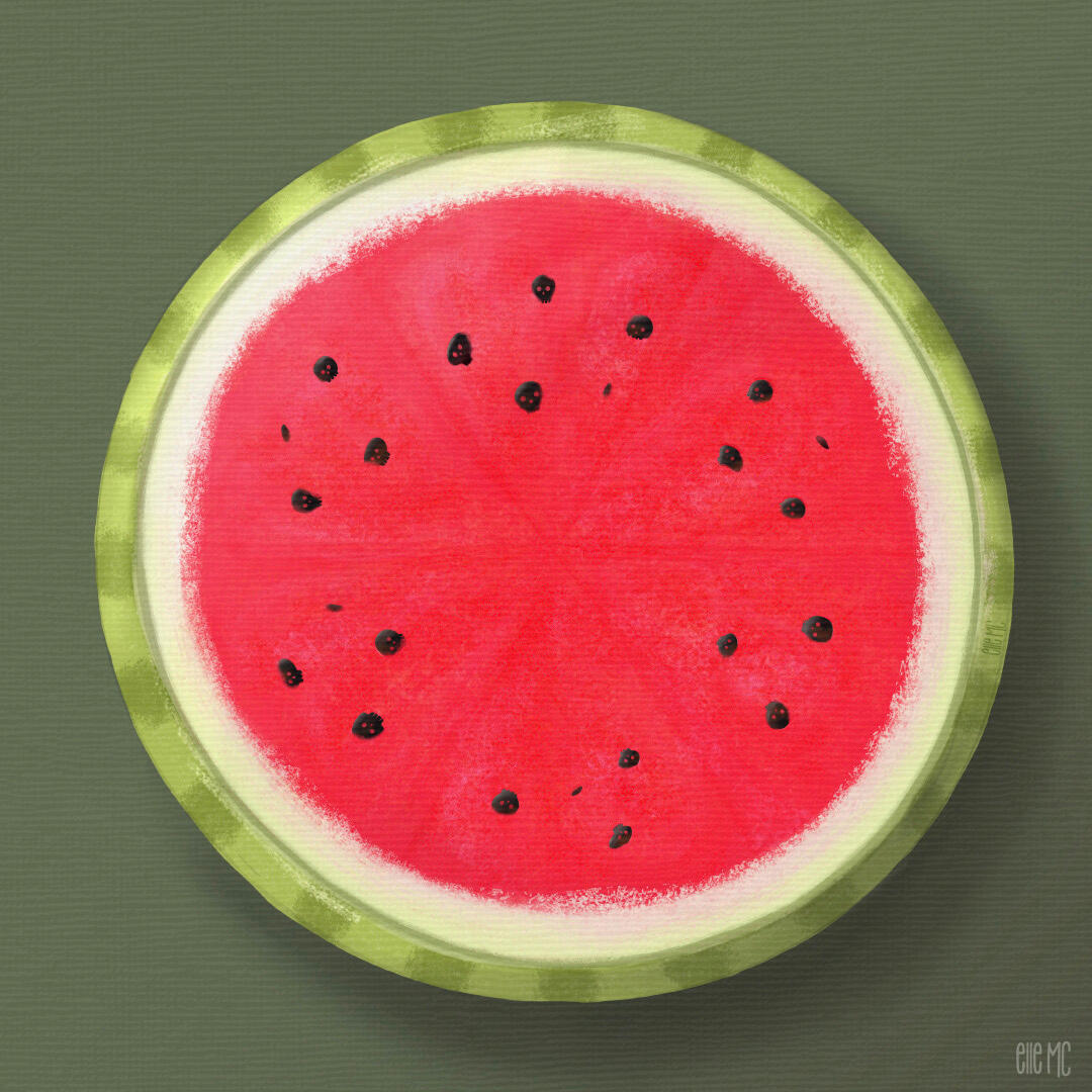 Illustration of watermelon round with black skull seeds, digitally drawn and painted by Elle M Coombs